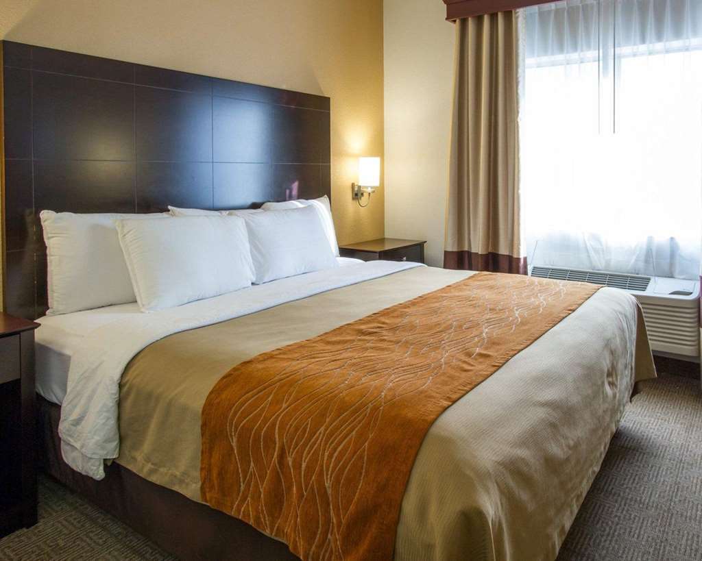 Comfort Inn & Suites Paw Paw Стая снимка