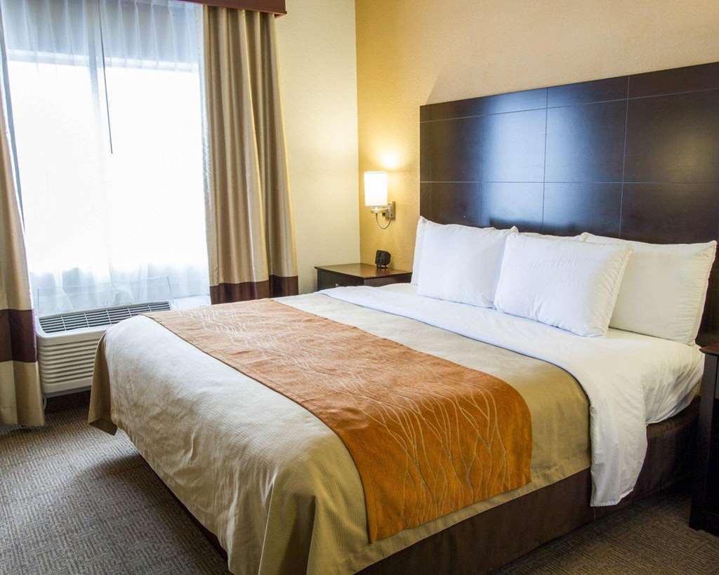 Comfort Inn & Suites Paw Paw Стая снимка
